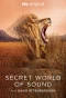 Poster for Secret World of Sound with David Attenborough