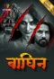 Poster for Baghin