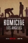 Poster for Homicide: New York