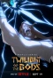 Poster for Twilight of the Gods