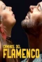 Poster for Caminos del flamenco