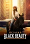 Poster for Beyond Black Beauty