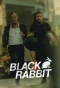 Poster for Black Rabbit