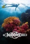 Poster for Bubbles