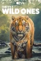 Poster for The Wild Ones