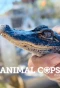 Poster for Animal Cops: Miami