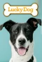 Poster for Lucky Dog
