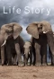 Poster for Life Story