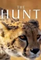 Poster for The Hunt