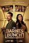 Poster for The Barnes Bunch
