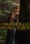 Poster for Murder in a Small Town