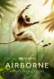 Poster for Airborne