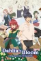 Poster for Dahlia in Bloom