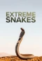 Poster for Extreme Snakes