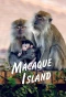 Poster for Macaque Island
