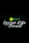 Poster for Milkshake! Secret Life of the Forest