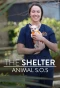 Poster for The Shelter: Animal SOS