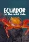 Poster for Ecuador: On the Wild Side