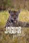 Poster for Jaguar Journals