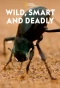 Poster for Wild, Smart and Deadly