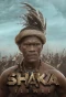 Poster for Shaka iLembe