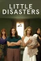 Poster for Little Disasters