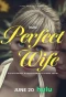 Poster for Perfect Wife: The Mysterious Disappearance of Sherri Papini