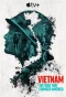 Poster for Vietnam: The War That Changed America