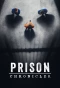 Poster for Prison Chronicles
