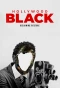 Poster for Hollywood Black