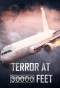 Poster for Terror at 30,000 Feet