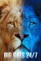Poster for Big Cats 24/7