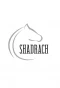 Poster for Shadrach