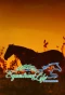 Poster for Equestrian Life in the Palm Beaches