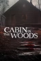 Poster for Cabin in the Woods