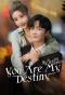 Poster for You Are My Destiny