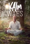 Poster for Kalm Waes