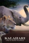 Poster for Kalahari: Land of the Secret Alliances