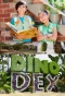 Poster for Dino Dex