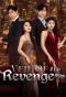 Poster for Veil of Revenge