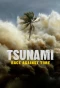 Poster for Tsunami: Race Against Time