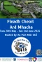 Poster for Fleadh Cheoil