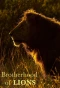 Poster for Brotherhood of Lions