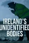 Poster for Ireland's Unidentified Bodies