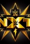 Poster for WWE NXT Premium Live Events
