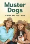 Poster for Muster Dogs: Where Are They Now?