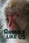 Poster for Animals Like Us