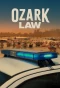 Poster for Ozark Law