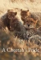 Poster for A Cheetah's Pride