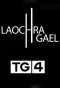 Poster for Laochra Gael